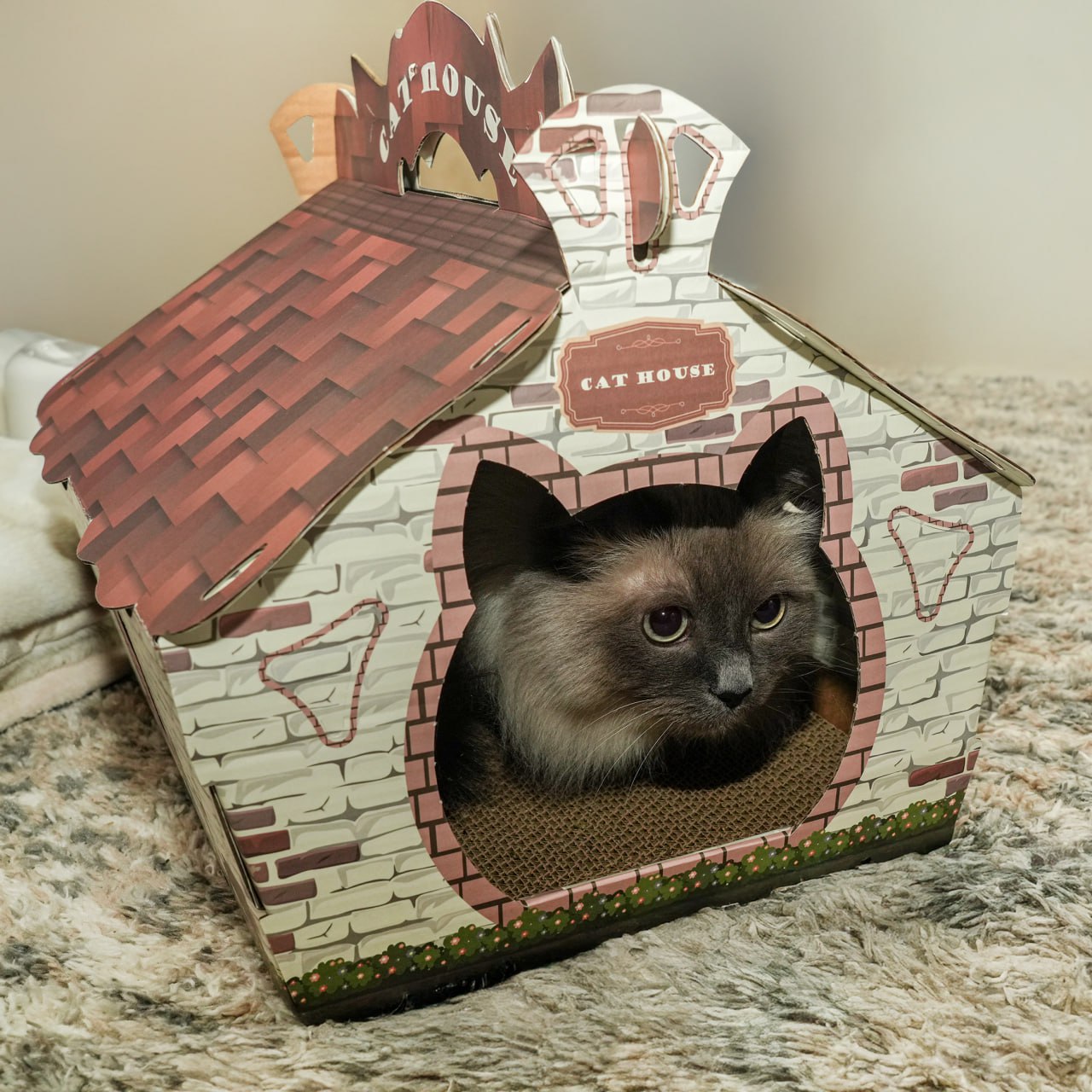 Cardboard house for cats