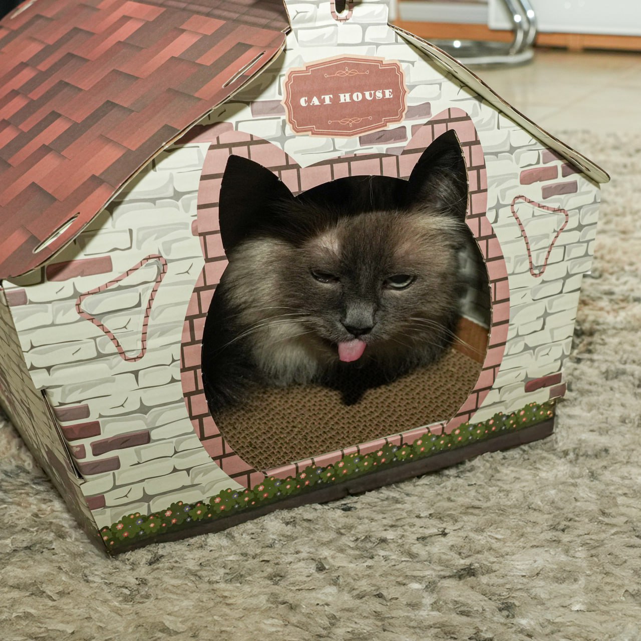 Cardboard house for cats